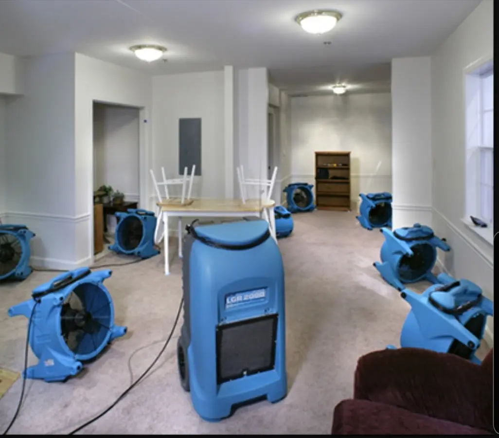 Air movers and dehumidifier setup for Water Extraction & Removal in Birch Run