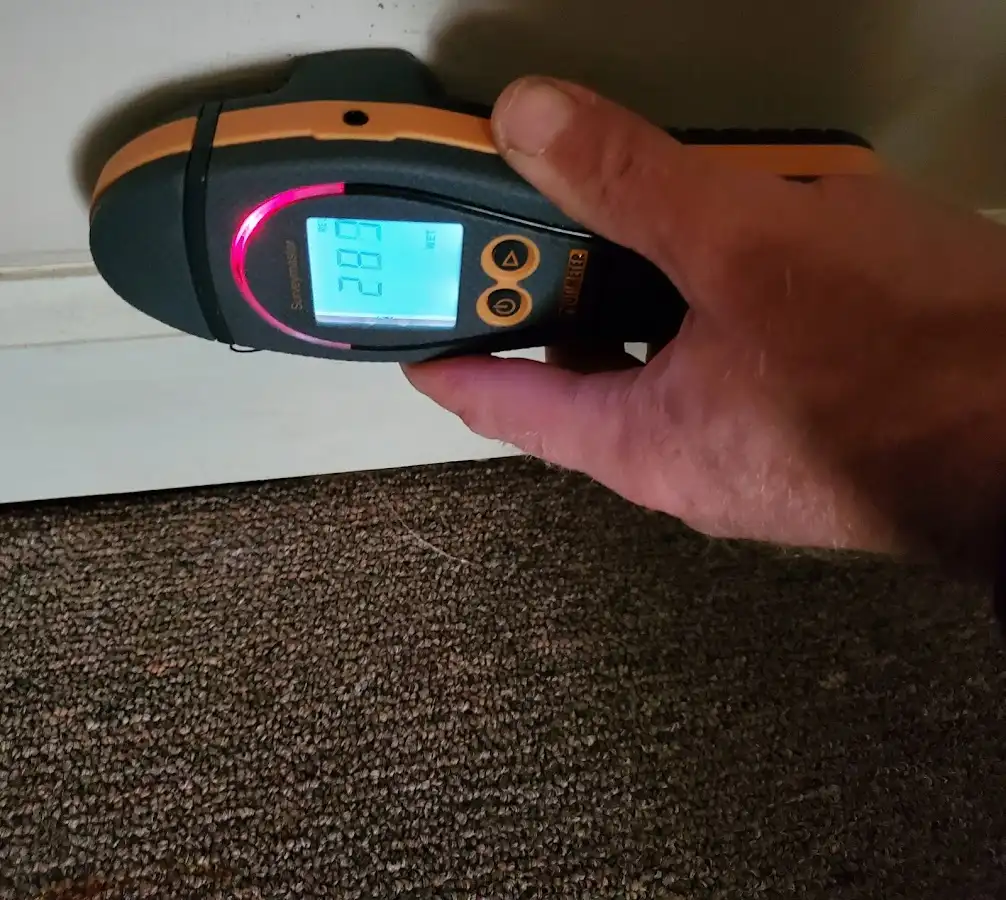 Moisture detection at baseboard during Sewage Cleanup & Sanitation in Birch Run
